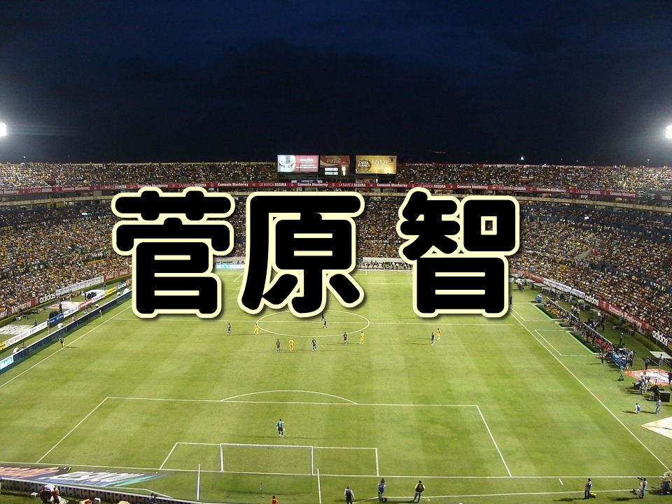 第２１３回 菅原智ってどんな人 生い立ちやプレースタイルに迫る Jリーグ ピッチの勇者